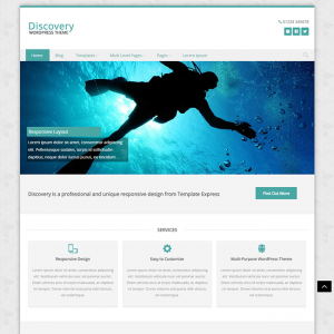 Discovery