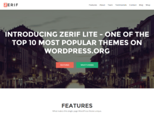Zerif Lite